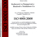 iso 9001